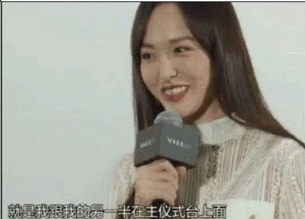 救援狗与猫